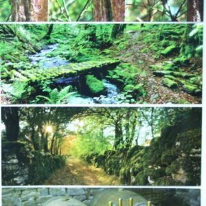 Lot de 4 Cartes postales panoramiques Nature Corrèze