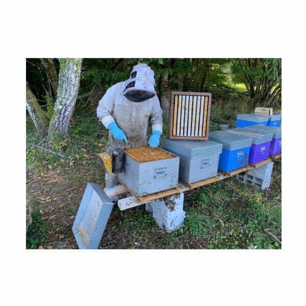 L'Abeille d'Obazine apiculteur