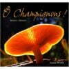 O Champignons !